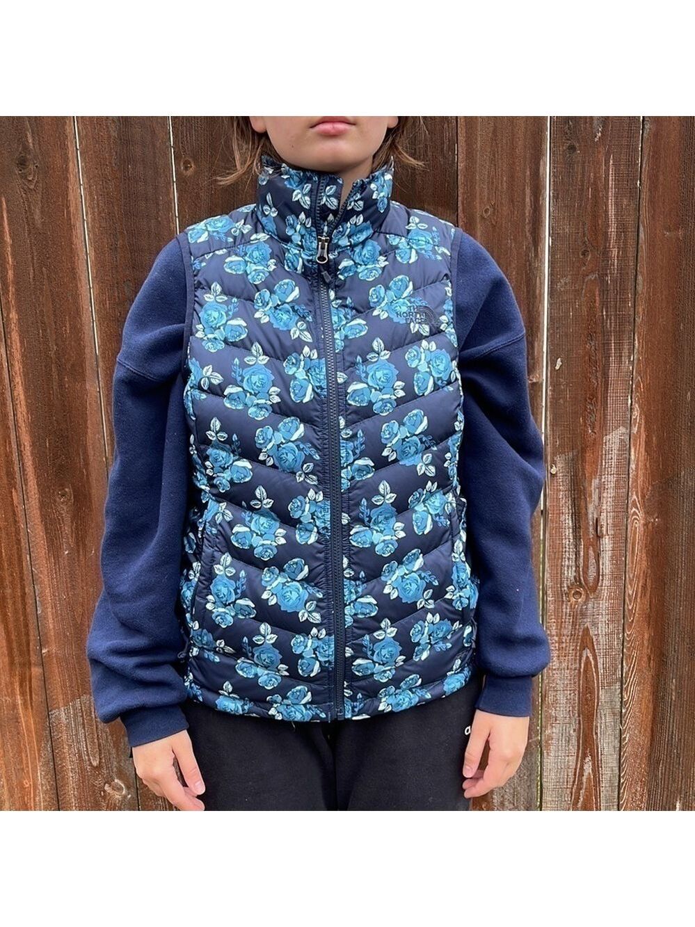 NORTH face vest